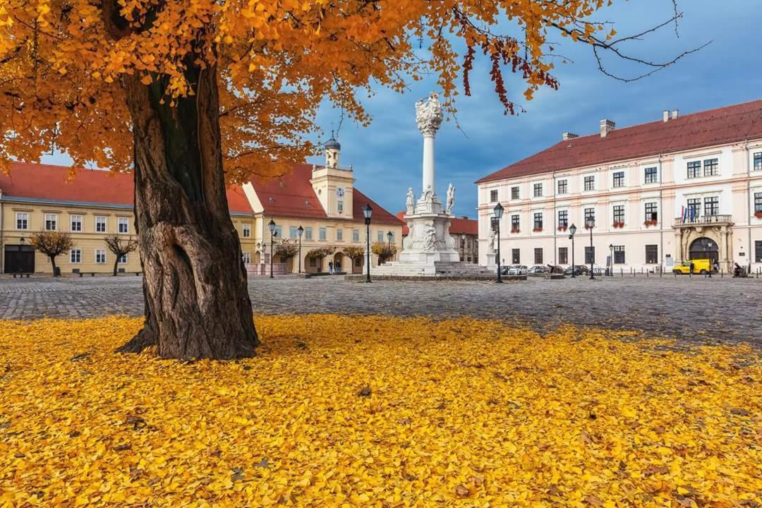 Apartman Aurelius - Private Parking Osijek Exteriér fotografie