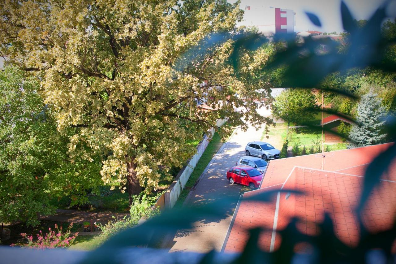 Apartman Aurelius - Private Parking Osijek Exteriér fotografie