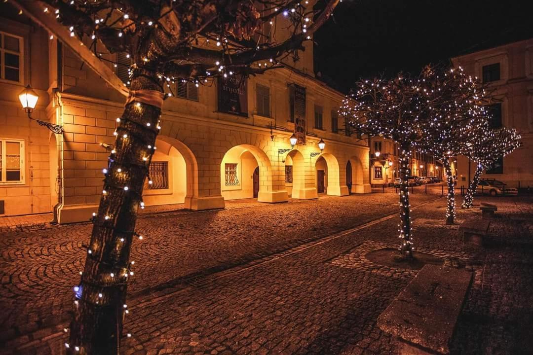 Apartman Aurelius - Private Parking Osijek Exteriér fotografie